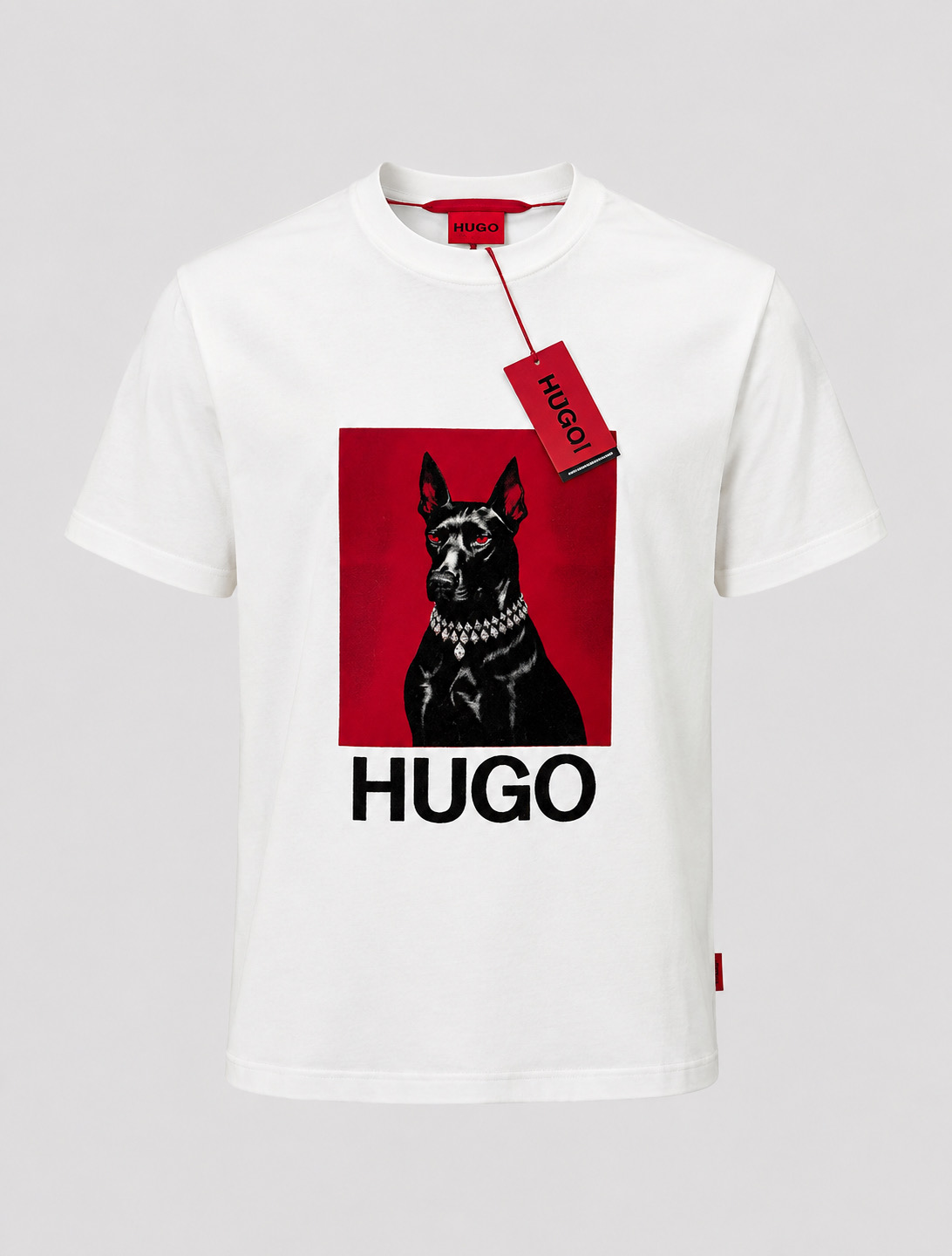 DobermanHUGO-white